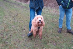 2_Winterwandeling-42