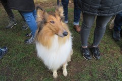 Winterwandeling-45