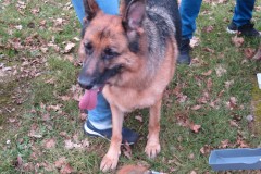 Winter-wandeling-54