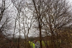 Winterwandeling14