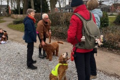 Winterwandeling51