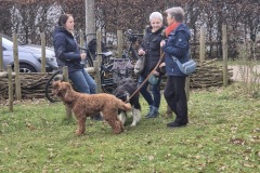 Winterwandeling56