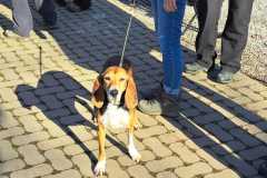 Winterwandeling-8-feb13