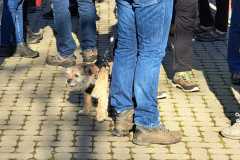 Winterwandeling-8-feb14